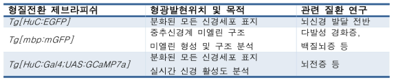 본 과제에서 사용할 형질전환 제브라피쉬 목록