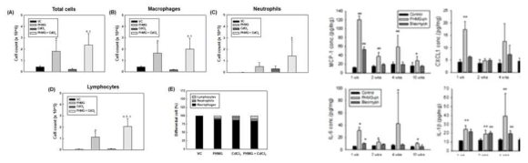 BALF 내 총 세포 및 면역세포 측정 및 폐내 염증성 cytokines level 변화 측정