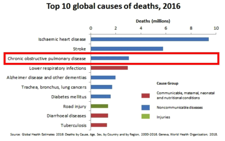 전세계 사망원인 TOP10 리스트, 2016년 기준 (WHO)