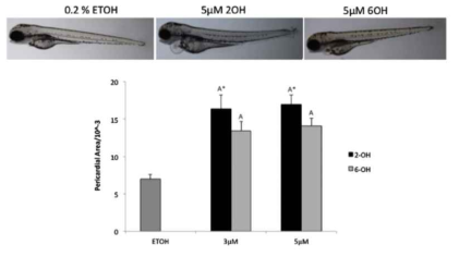 2-OHCHR과 6-OHCRH의 제브라피쉬 배아 독성 영향