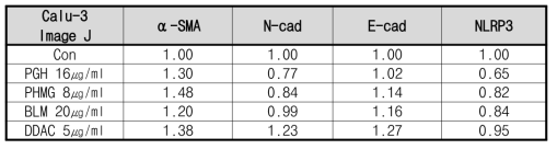 Calu-3 관련 폐섬유화 마커 band image J 정량 결과(예비실험)