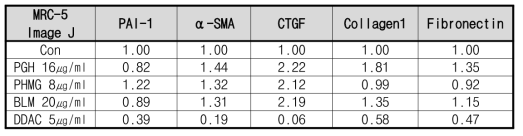 MRC-5 관련 폐섬유화 마커 band image J 정량 결과(예비실험)