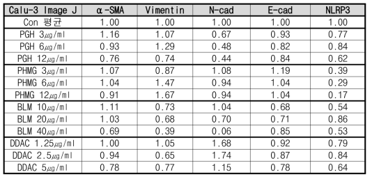 Calu-3 관련 폐섬유화 마커 band image J 정량 결과