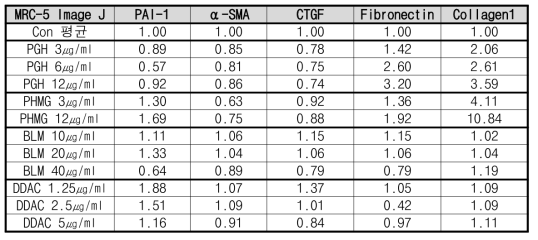 MRC-5 관련 폐섬유화 마커 band image J 정량 결과