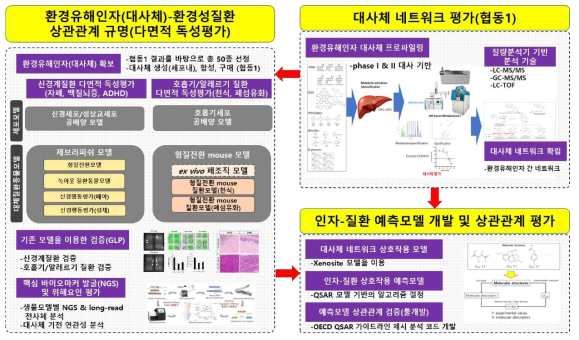 전체 과제 내용 구성