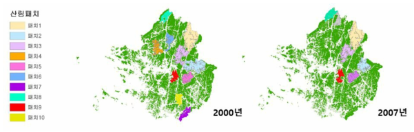 패치면적이 8000ha 이상인 산림 패치 변화