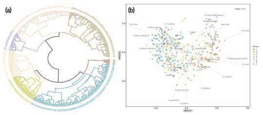 조류의 기능적 특성 분석. (a) 전국자연환경조사에서 발견된 조류의 특성을 군집분석을 활용하여 그룹을 분석하였을 때 7개의 그룹이 생성되었음. (b) NMDS를 통해 특성별 종 분포를 확인할 수 있음