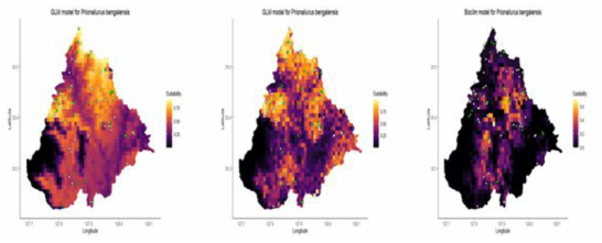 종분포모형으로 작성한 산청 지역 (분석 후보군1) 삵 분포도 (a), (b) : GLM (Regression-based)으로 작성한 환경변수, 기후변수에 의한 삵 분포도 (c) : Bioclim (Profile tech.) 으로 작성한 환경변수에 의한 삵 분포도