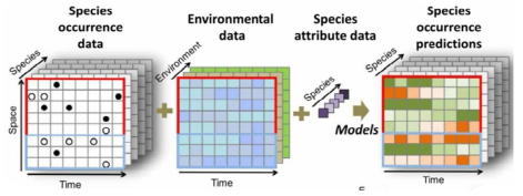 Maxent 작동 알고리즘 도식화 (Jetz, W., et al ., 2019)