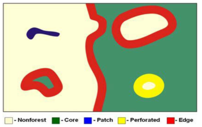 공간적 패턴에 따른 산림 유형(비산림(Nonforest), 핵심지역(Core), 패치(Patch), 숲틈(Perforeated), 가장자리(Edge)) 구분 개념도(Peter et al., 2006)