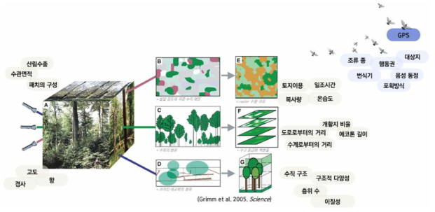 3차원 연결성 분석에 필요한 환경변수를 도식화한 그림. 산림 서식지를 구성하는 구조변수 및 종의 서식과 이동에 영향을 미치는 환경변수, 그리고 생물종에 대한 데이터가 필요함. 종 데이터의 경우 위치자료의 취득은 GPS 등의 방법을 이용할 수 있으며, 어떤 종을 목표 종으로 하느냐에 따라 데이터 획득 방법이 달라짐 (Grimm et al., 2005의 도면을 참조함)