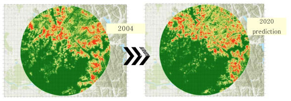 MaxEnt를 이용하여 개발사업 전(2004년)과 개발사업 후(2020년)의 삵 출현 예상 지점의 변화 예측의 결과 : 2004년 환경변수를 바탕으로 예측된 삵 출현 예측 지역(좌), 2020년 환경변수를 바탕으로 예측된 삵 출현 예측 지역(우) - 초록색은 출현 확률이 낮으며, 노란색에서 빨간색으로 갈수록 출현 확률이 높음을 나타냄