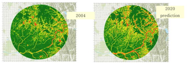 MaxEnt를 이용하여 개발사업 전(2004년)과 개발사업 후(2020년)의 수달 출현 예상 지점의 변화 예측의 결과 : 2004년 환경변수를 바탕으로 예측된 수달 출현 예측 지역(좌), 2020년 환경변수를 바탕으로 예측된 수달 출현 예측 지역(우) - 초록색은 출현 확률이 낮으며, 노란색에서 빨간색으로 갈수록 출현 확률이 높음을 나타냄