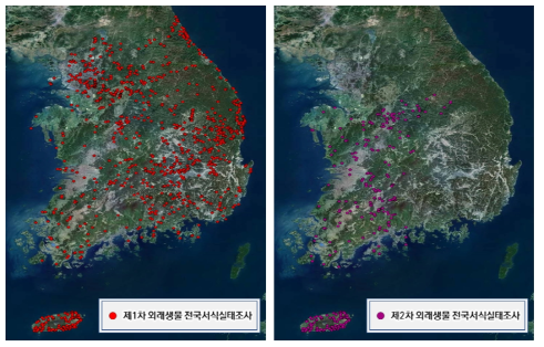 제1차 및 제2차 외래생물 전국서식실태조사에서의 돼지풀 분포