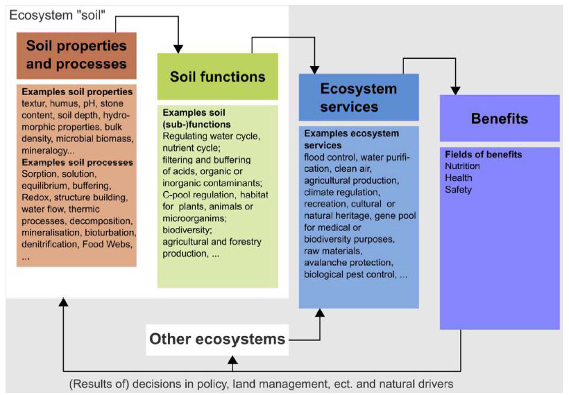 토양의 생태서비스적 기능 평가 방법 : Cascade model (Greiner, L., et al. (2017)