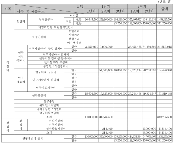 3차년도 연구개발비 사용 계획