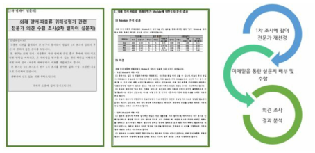 전문가 의견 수렴 조사(델파이(Delphi) 조사) 설문지 예시 및 수행 방법(2차)