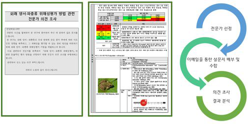 전문가 의견 조사 설문지 예시 및 수행 방법