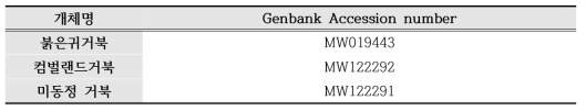 Genbank에 등록된 붉은귀거북들의 accession number