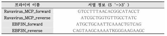 라나바이러스 검출을 위해 사용한 프라이머 목록