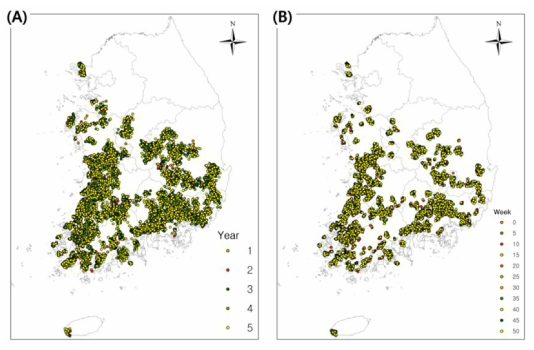 시간에 따른 황소개구리 확산 모델 결과. (A) 5년간 매해 30번째 주(week)의 황소개구리 확산 변화 양상. (B) 첫 번째 해 5주 간격 황소개구리 확산 변화 양상