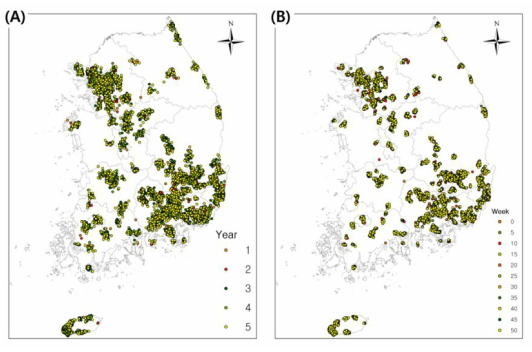 시간에 따른 붉은귀거북 확산 모델 결과. (A) 5년간 매해 30번째 주(week)의 붉은귀거북 확산 변화 양상. (B) 첫 번째 해 5주 간격 붉은귀거북 확산 변화 양상