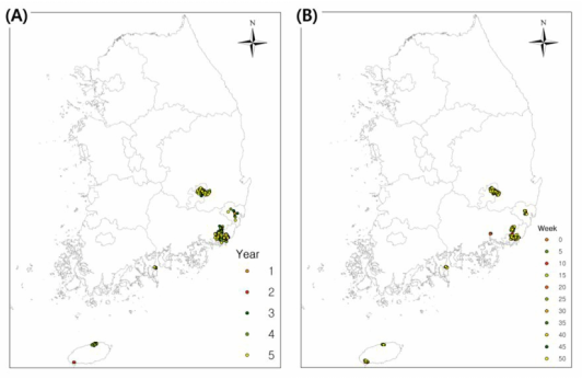 시간에 따른 중국줄무늬목거북 확산 모델 결과. (A) 5년간 매해 30번째 주(week)의 중국줄무늬목거북 확산 변화 양상. (B) 첫 번째 해 5주 간격 중국줄무늬목거북 확산 변화 양상