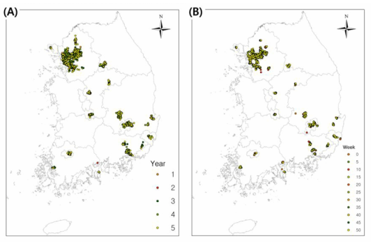 시간에 따른 리버쿠터 확산 모델 결과. (A) 매해 30번째 주(Week)의 리버쿠터 확산 변화 양상. (B) 첫 번째 해 5주 간격 리버쿠터 확산 변화 양상