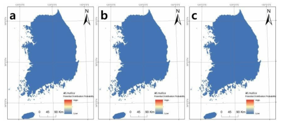 노랑늪거북(M. mutica)의 현재 (a) 2050년 (b) 2070년 (c) 국내 서식지 적합성