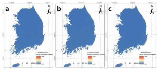 쿠바청개구리(O. septentrionalis)의 현재 (a) 2050년 (b) 2070년 (c) 국내 서식지 적합성