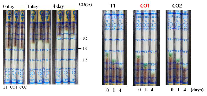 균주별 CO 이용성