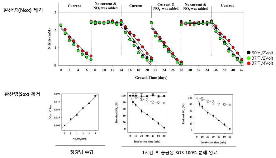 전기적 환원력 공급에 따른 질산염 및 황산염의 제거