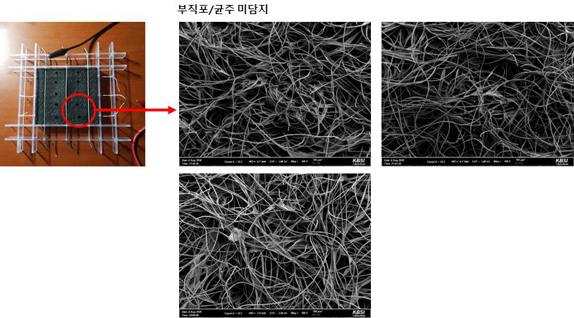 미생물 담지 filter 기본 시작품의 SEM 촬영