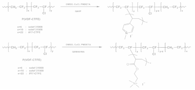 합성된 양이온성 고분자들과 매크로개시제로 이용된 P(VDF-CTFE)