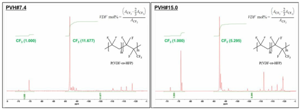 P(VDF-co-HFP)의 19F-NMR 스펙트럼