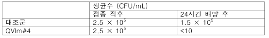 대장균에 대한 항균 활성 시험 결과