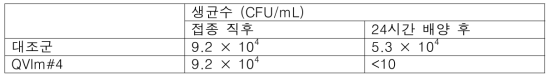 칸디다균에 대한 항균 활성 시험 결과