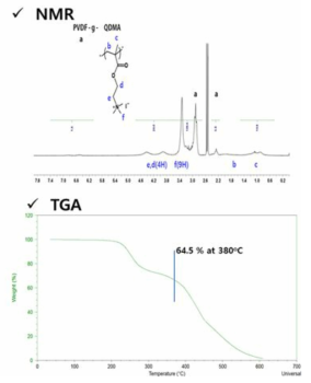 대용량 반응기를 이용한 암모늄염 그라프트 반응 생성 고분자의 열중량 분석법(TGA)과 핵자기공명 스펙트럼(NMR) 데이터
