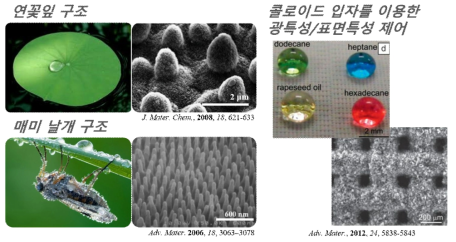 : 자연계에 존재하는 마이크로-나노 구조와 미세 입자 코팅을 이용한 표면 물성 제어