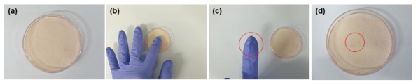 접촉에 따른 항균 필름 특성 실험 결과 (a) 접촉 전, (b) 손가락 접촉, (c) 손가락 접촉 후 손가락에 묻은 오일, (d) 접촉 후 구조 표면에 남아 있는 오일