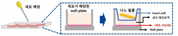 항균성 불소계 필름의 세포독성 실험을 위한 실험방법