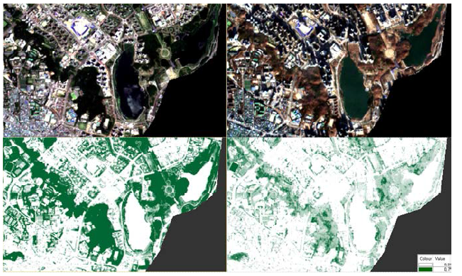 Sentinel-2 2019.06 / 2019.12 영상 (위 : RGB 영상, 아래 : NDVI 적용 영상)