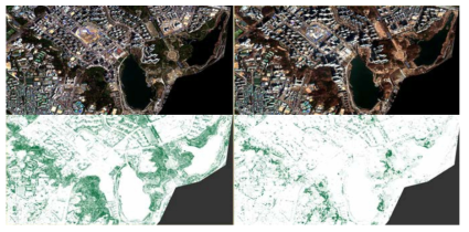 Worldview-2 2018.04 / 2019.02 영상 (위: RGB 영상, 아래 : NDVI 적용 영상)