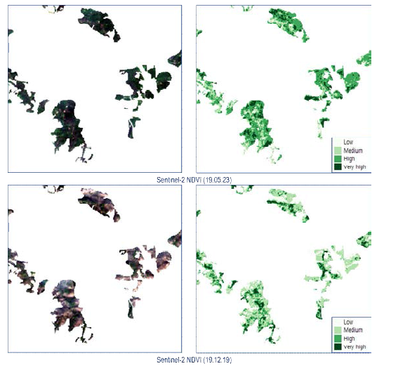 Sentinel-2 NDVI 영상에 대한 등급 산정 결과