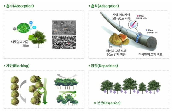 나무(숲)의 미세먼지 저감 과정 (참고 및 출처 : 산림청 및 국립산림과학원(2017)