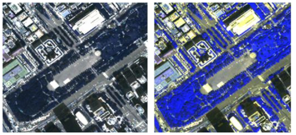 WorldView-2 영상의 분광 밴드를 이용한 식생 분포 파악 예시
