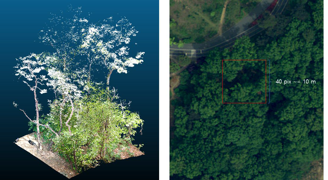 Dense 1 지역의 LiDAR 관측 결과와 항공 영상 내 유사 위치 비교