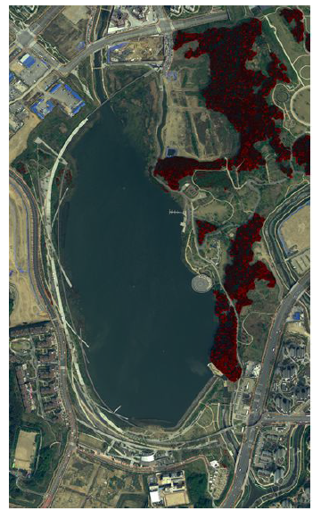 광교 호수 전체 Dense 지역 수관 예측 결과-1 (예측 결과 : 빨간색)