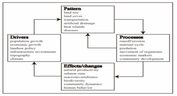 도시 생태계 개념도 *출처: Alberti, M. (2008). p. 14, Advances in urban ecology: integrating humans and ecological processes in urban ecosystems: Springer New York.