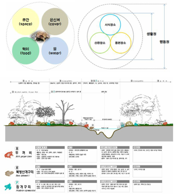 양서류 서식지 모델